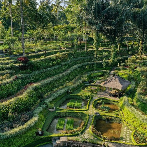 agroforestry-garden