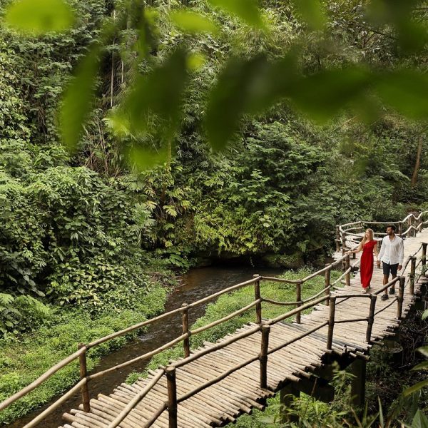 bamboo-bridge-at-padma