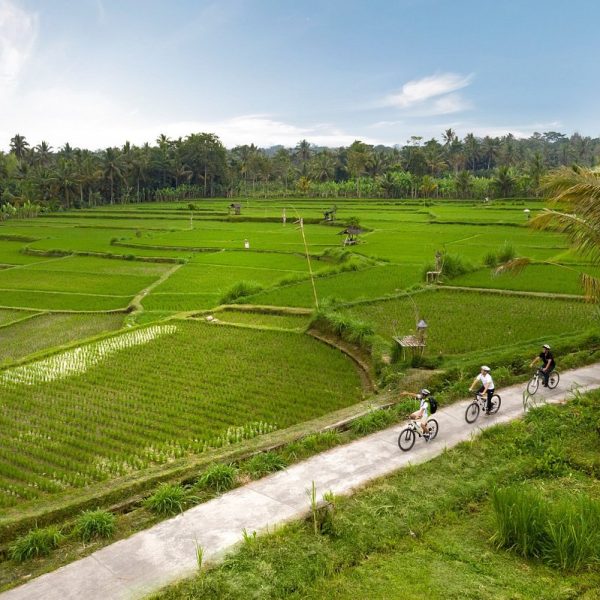 cycling-activity-at-padma