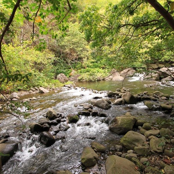 hiking-off-the-paved