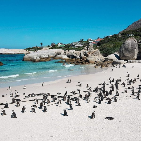 Cape Town