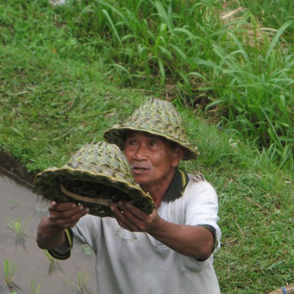 rice-terraces-of-tegalalang