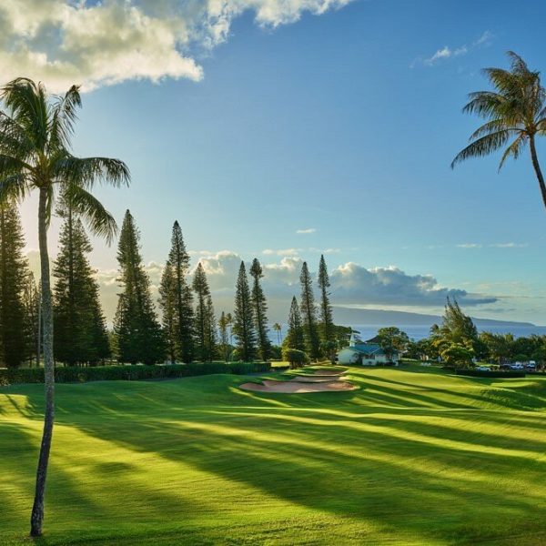 view-from-the-ritz-carlton