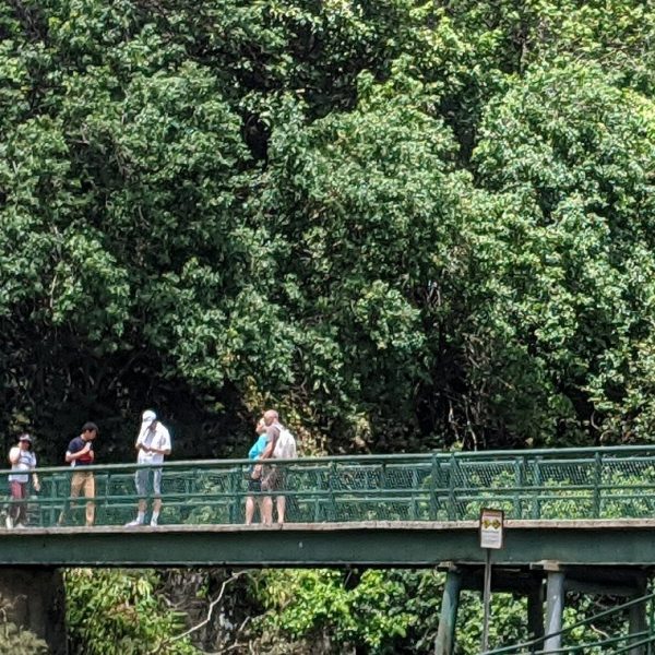 view-of-the-bridge-over